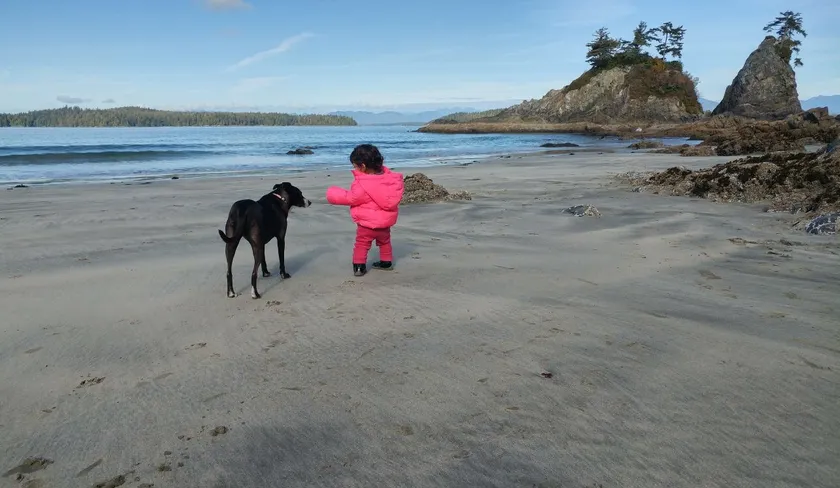 ילדה וכלב על חוף הים
