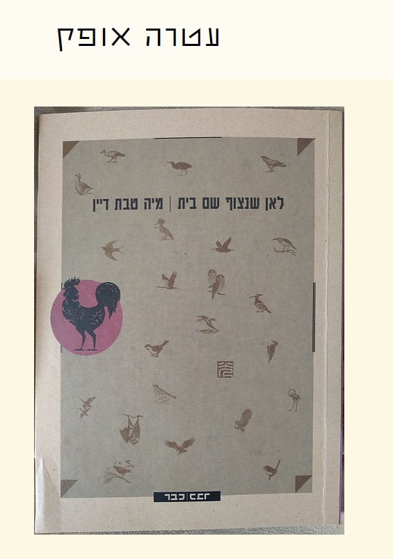 צילום מסך מהכתבה המקורית